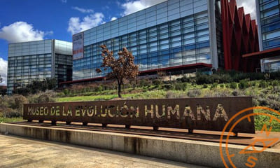 Museo Evolución Humana