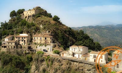 Savoca