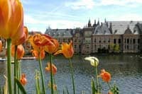 Cosas que hacer en La Haya