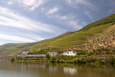 Ruta en coche por el Alto Douro Vinhateiro