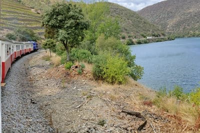 El Duero desde el Tren, de Regua a Pocinho