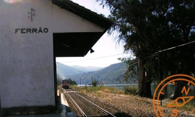 Ferrão