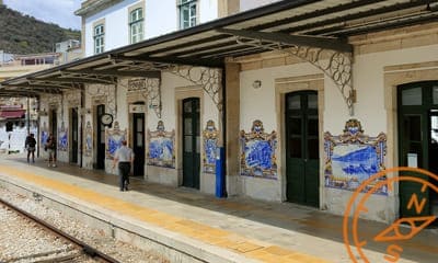 Pinhão