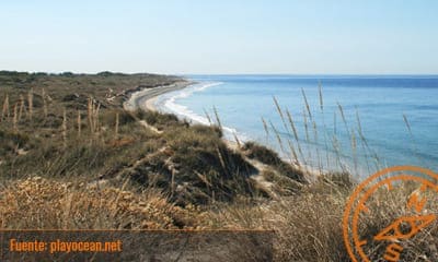 Praia de Antas