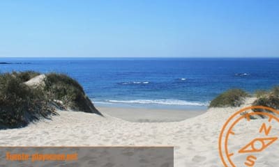 Praia de Fão