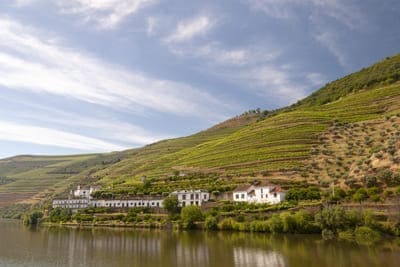 El Douro Valley a través de sus Quintas