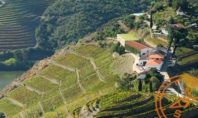 Quinta do Crasto