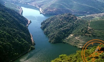 Miradouro do São Salvador do Mundo
