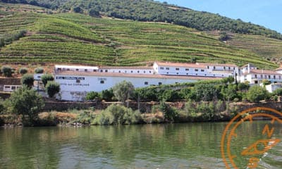 Quinta das Carvalhas