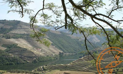 Covas do Douro