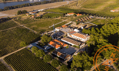 Quinta da Pacheca