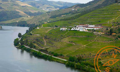 Quinta São Luiz