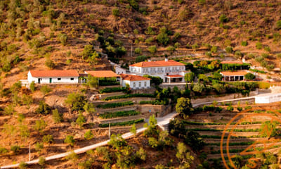 Quinta do Panascal